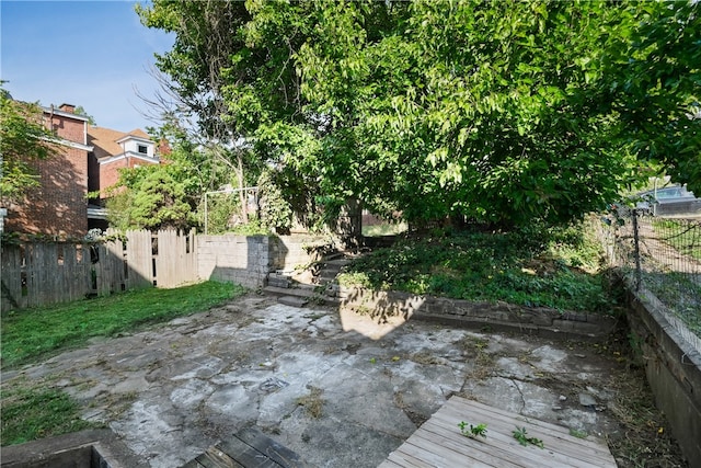 view of yard featuring a patio