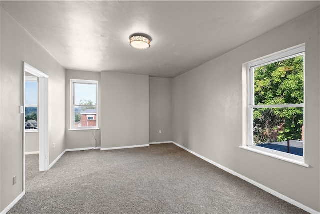 spare room featuring carpet and a healthy amount of sunlight