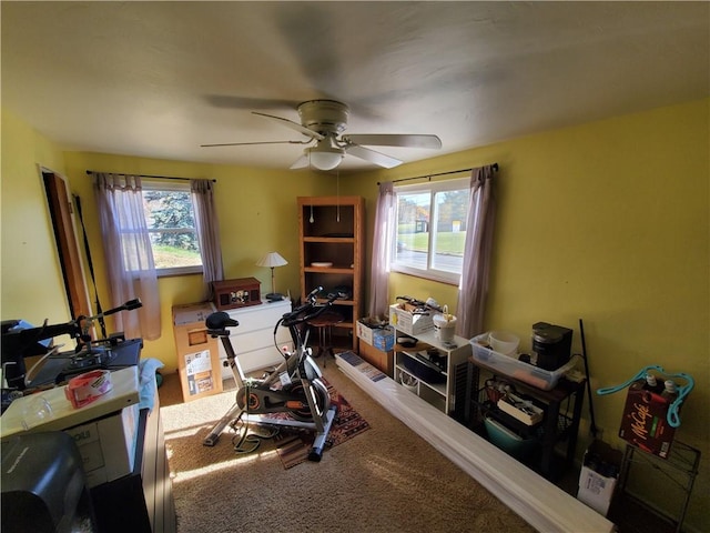 interior space featuring carpet flooring and ceiling fan