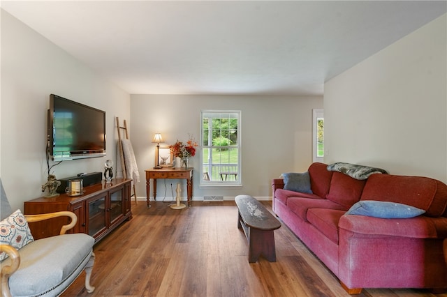 living room featuring wood-type flooring