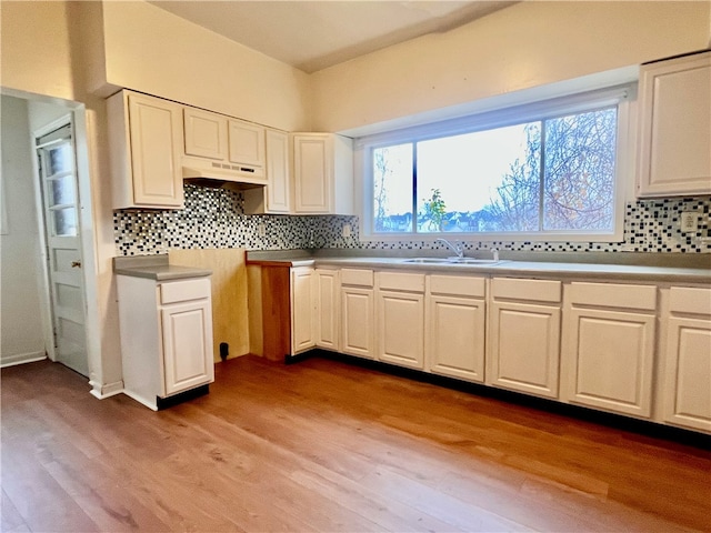 kitchen featuring light hardwood / wood-style floors, tasteful backsplash, and sink