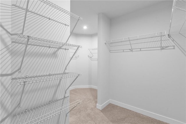 walk in closet featuring carpet