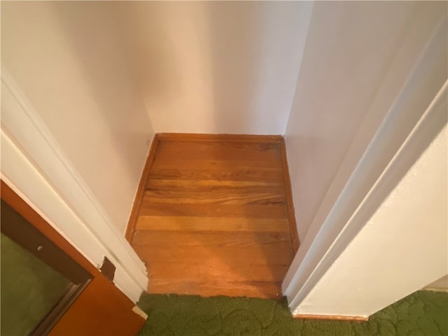 stairway with carpet floors