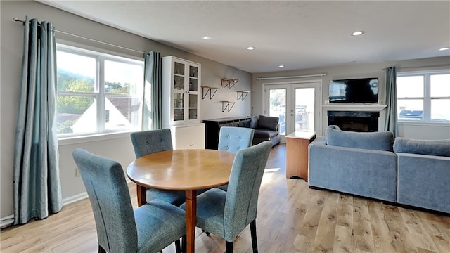 dining space with light hardwood / wood-style floors, a healthy amount of sunlight, and a premium fireplace