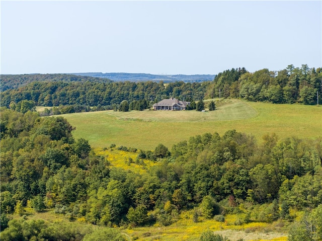 bird's eye view with a rural view