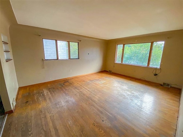 spare room featuring light wood-type flooring and a wealth of natural light