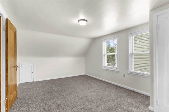 additional living space with vaulted ceiling and carpet flooring