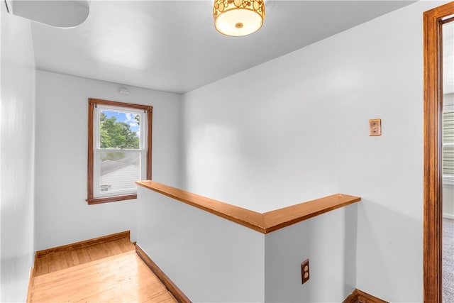 corridor featuring light hardwood / wood-style floors