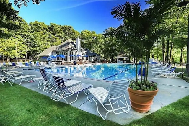 view of swimming pool with a patio