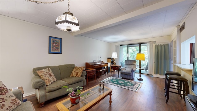 living room featuring dark hardwood / wood-style flooring