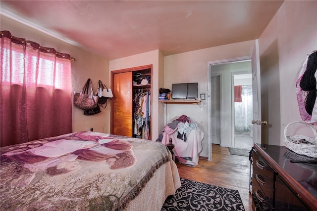 bedroom featuring wood-type flooring and a closet