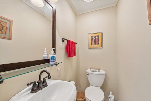 bathroom with sink, crown molding, and toilet