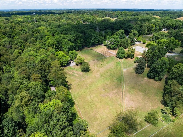 aerial view with a rural view