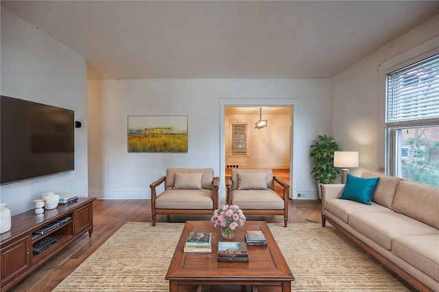 living room with dark hardwood / wood-style floors