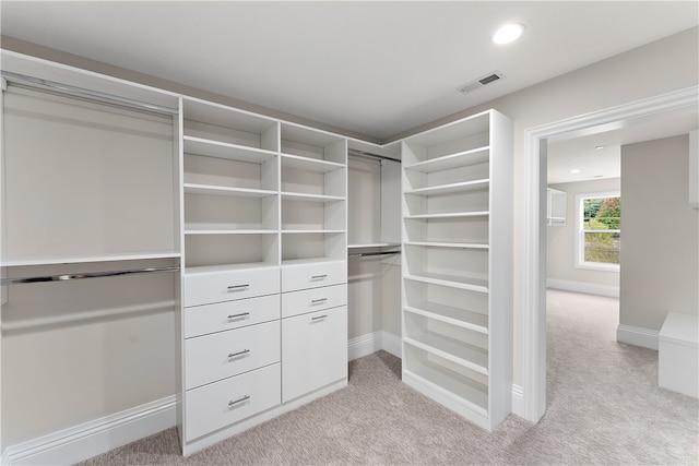 spacious closet with light carpet