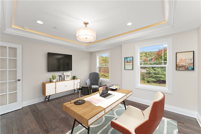 office with a raised ceiling and dark hardwood / wood-style flooring