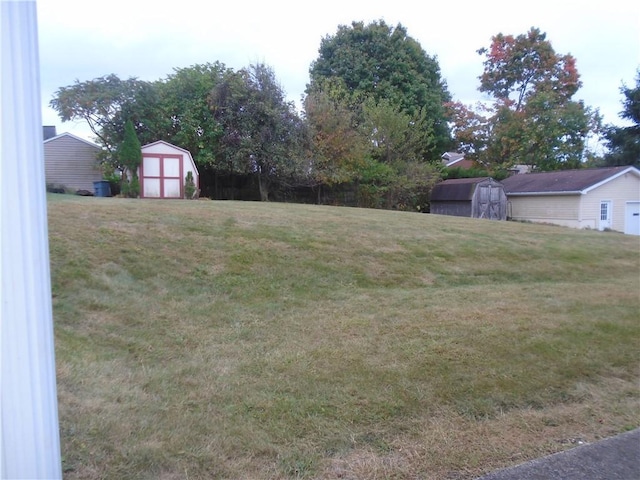 view of yard with an outbuilding and a storage unit