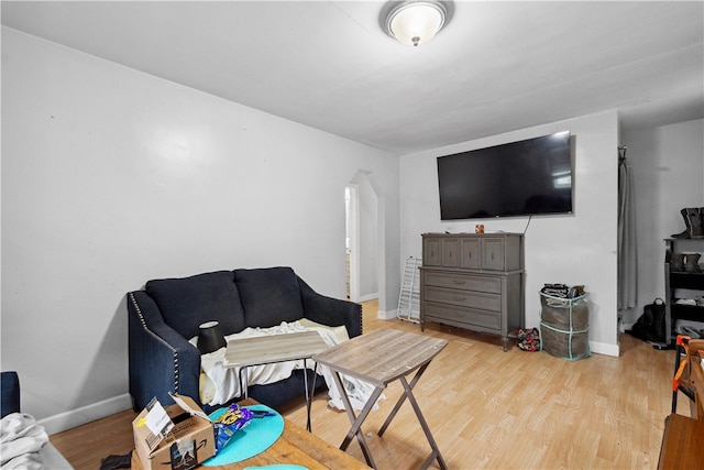 living room featuring light hardwood / wood-style floors