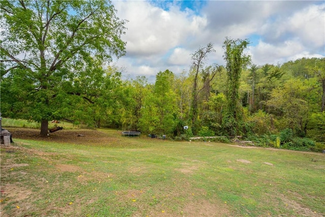 265 Johnston Rd, Bentleyville, PA 15314 - view of green lawn