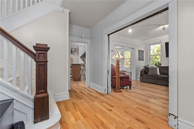 entryway with crown molding and light hardwood / wood-style flooring