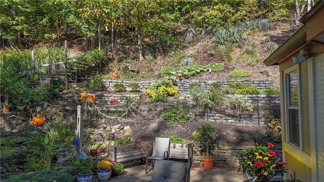 1487 Beaver Rd, Sewickley, PA 15143 - view of patio
