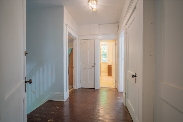 corridor with dark wood-type flooring