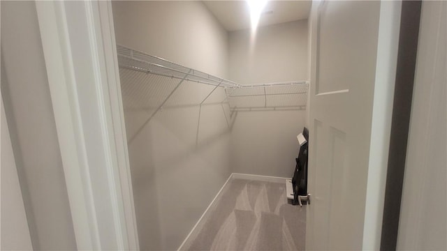 walk in closet featuring carpet floors