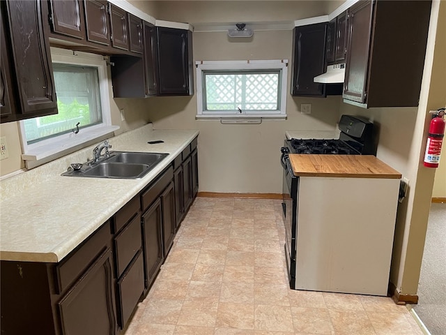 kitchen with dark brown cabinets, ornamental molding, sink, and wood counters