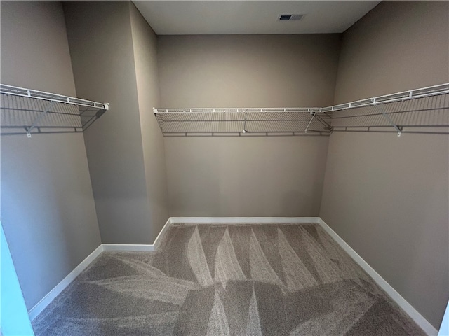 spacious closet with carpet floors