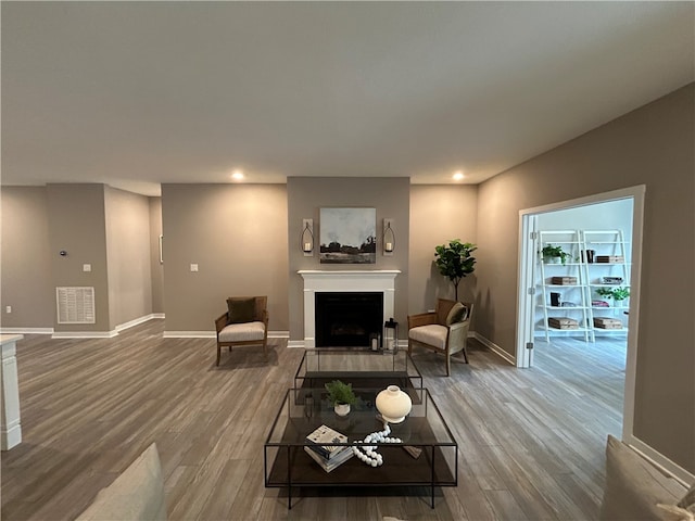 living room featuring wood-type flooring