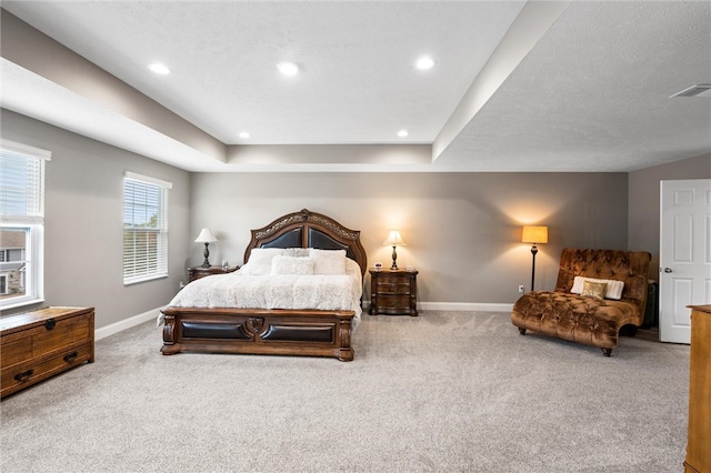 bedroom featuring a textured ceiling, a raised ceiling, and carpet flooring