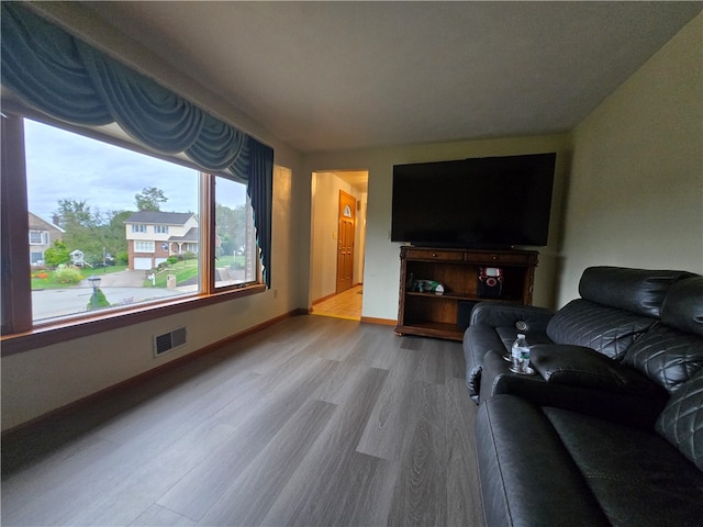 living room with wood-type flooring