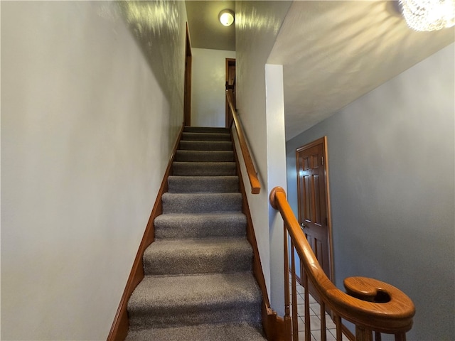 staircase with carpet flooring