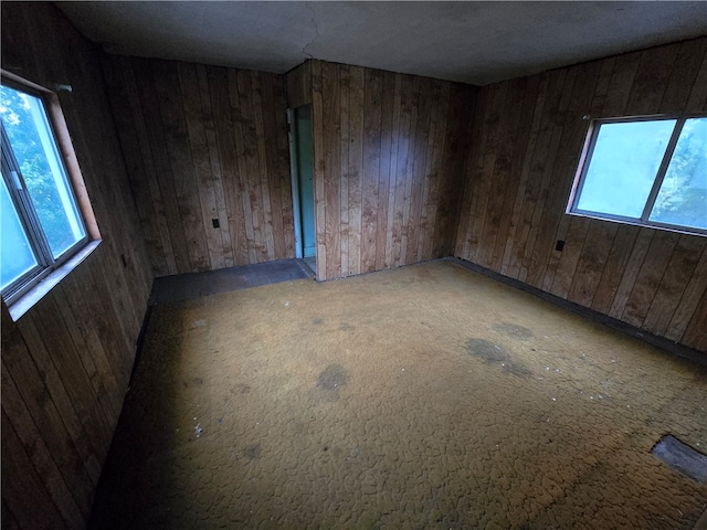 spare room featuring wooden walls and carpet