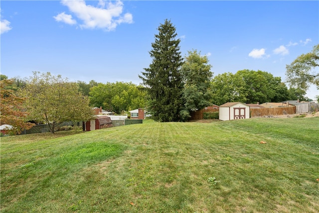 view of yard with a storage shed