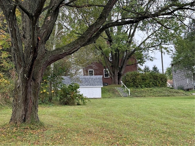 view of yard featuring a storage shed