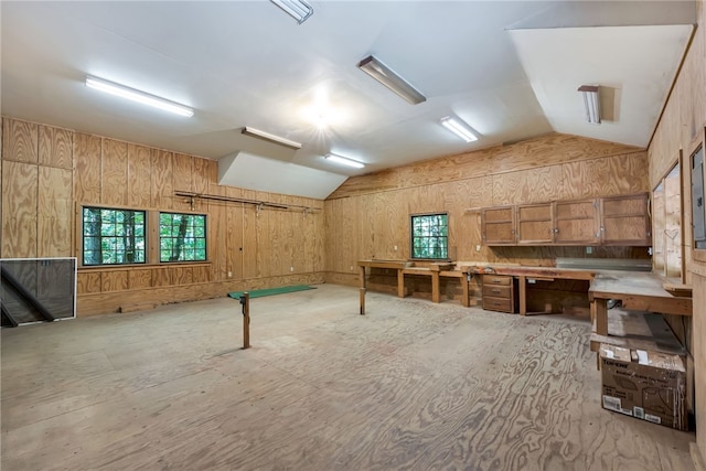 basement featuring wooden walls, plenty of natural light, and a workshop area