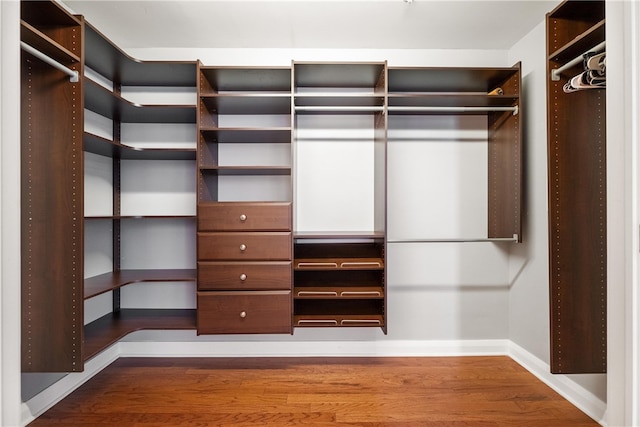 walk in closet with wood-type flooring