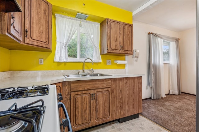 kitchen with gas stove, sink, light carpet, and plenty of natural light