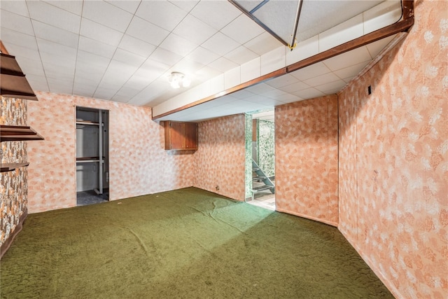 basement featuring carpet floors