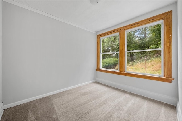 carpeted spare room with crown molding