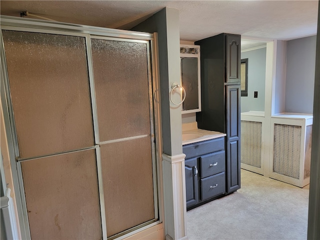 bathroom featuring walk in shower and vanity