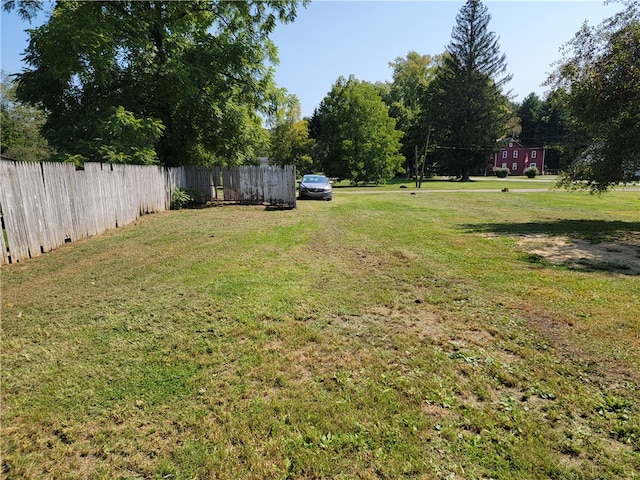 view of yard