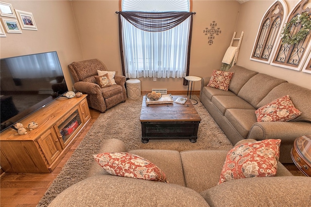 living room with wood-type flooring