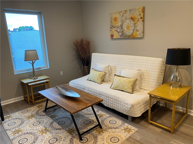 sitting room featuring hardwood / wood-style floors