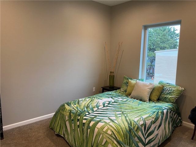 bedroom with dark carpet