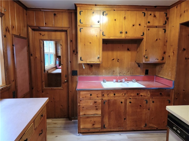 kitchen with stainless steel dishwasher, light hardwood / wood-style floors, and sink