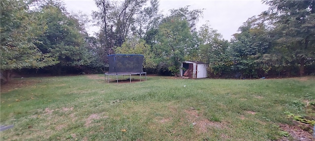 view of yard with a trampoline and a storage shed