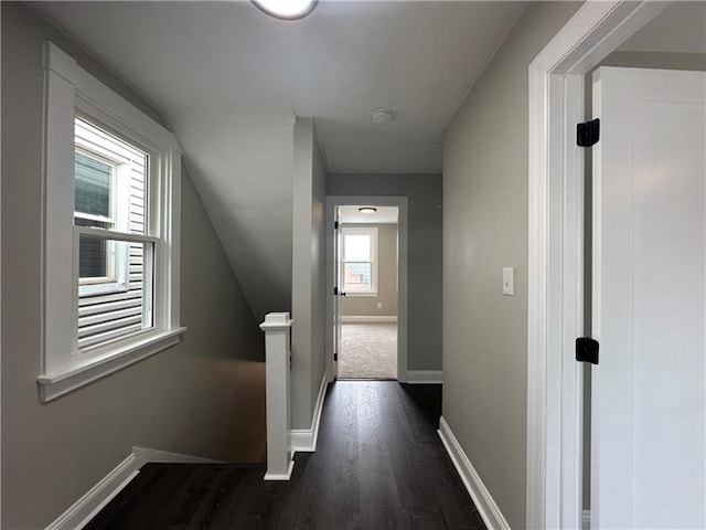 corridor with lofted ceiling, dark wood-type flooring, and a wealth of natural light