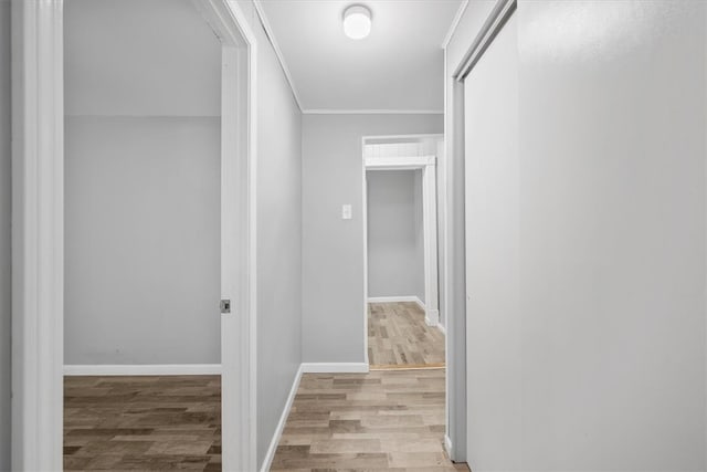 hall featuring light hardwood / wood-style flooring and crown molding